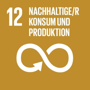 SDG 12 Entwicklungsziele der Vereinten Nationen
